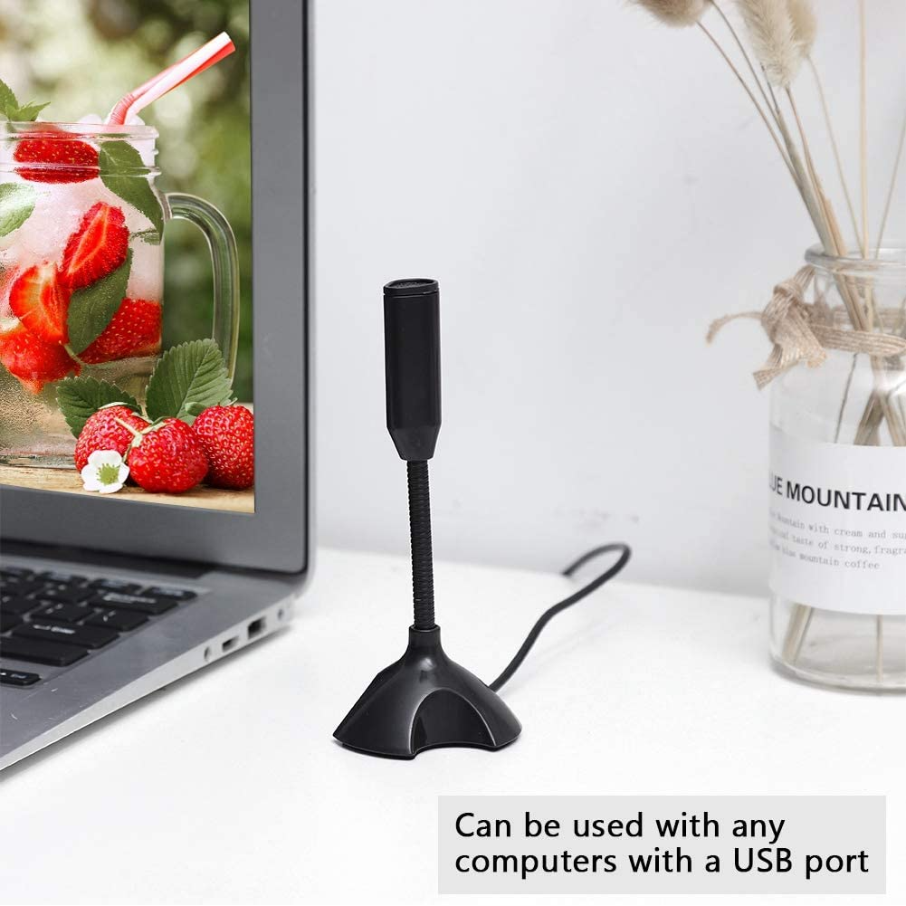 Usb Mini Stand Mic